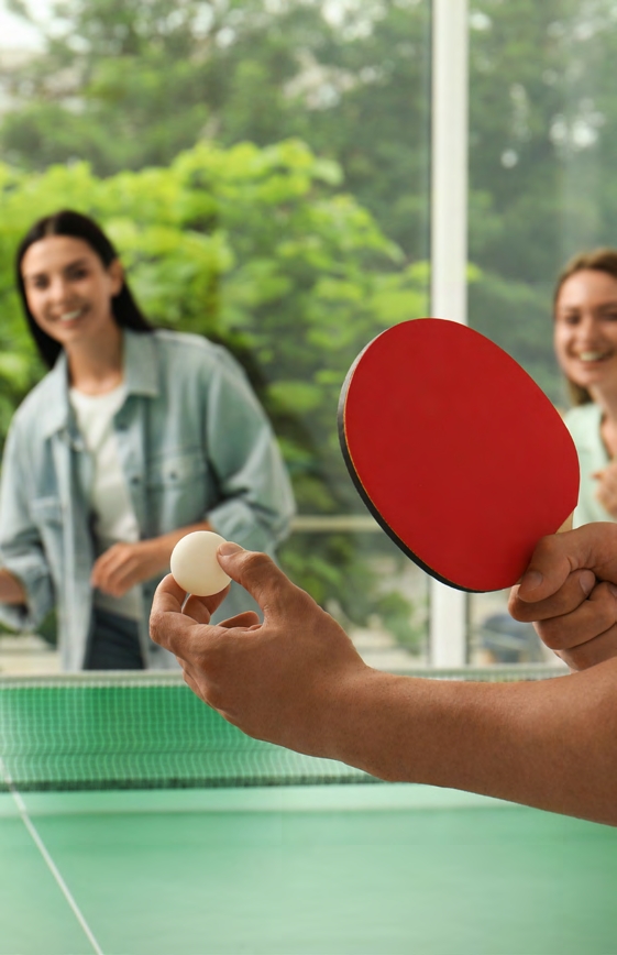 Table tennis recreation
